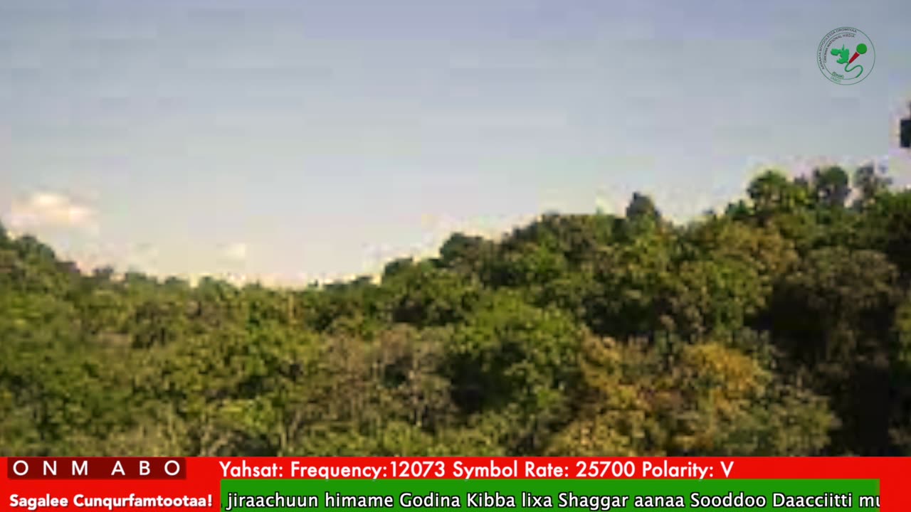 Oduu Waaree ONM-ABO Onkoloolessa 17-2025 itti dhiyaadhaa!