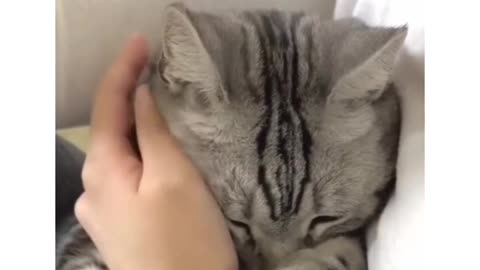 This is all i want from you