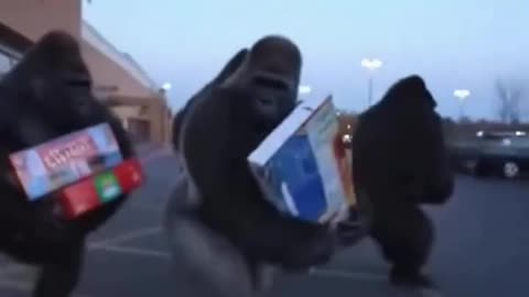 Walmart After EBTs run out