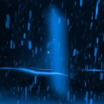 🌹🌹🌹🌹🌹🌹