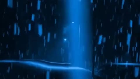 🌹🌹🌹🌹🌹🌹