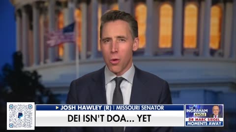 (R) Sen Josh Hawley DEI is Unconstitutional