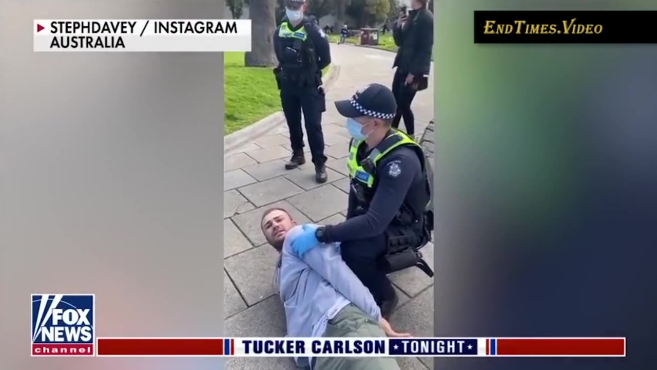 The Government Lockdowns (not the virus)