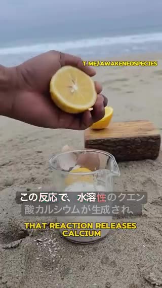 最高の液体肥料をつくる。卵の殻とレモン
