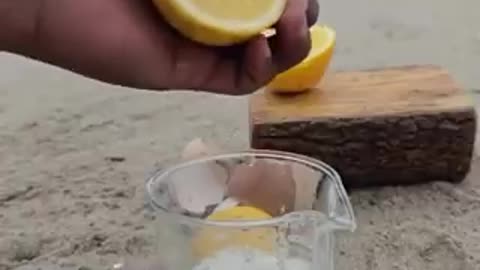 最高の液体肥料をつくる。卵の殻とレモン