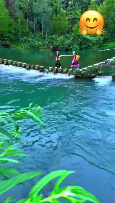 Relaxing in the serenity of nature 🥹✨