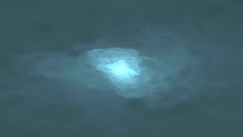 The Zoo of Rush Hour, Op 194