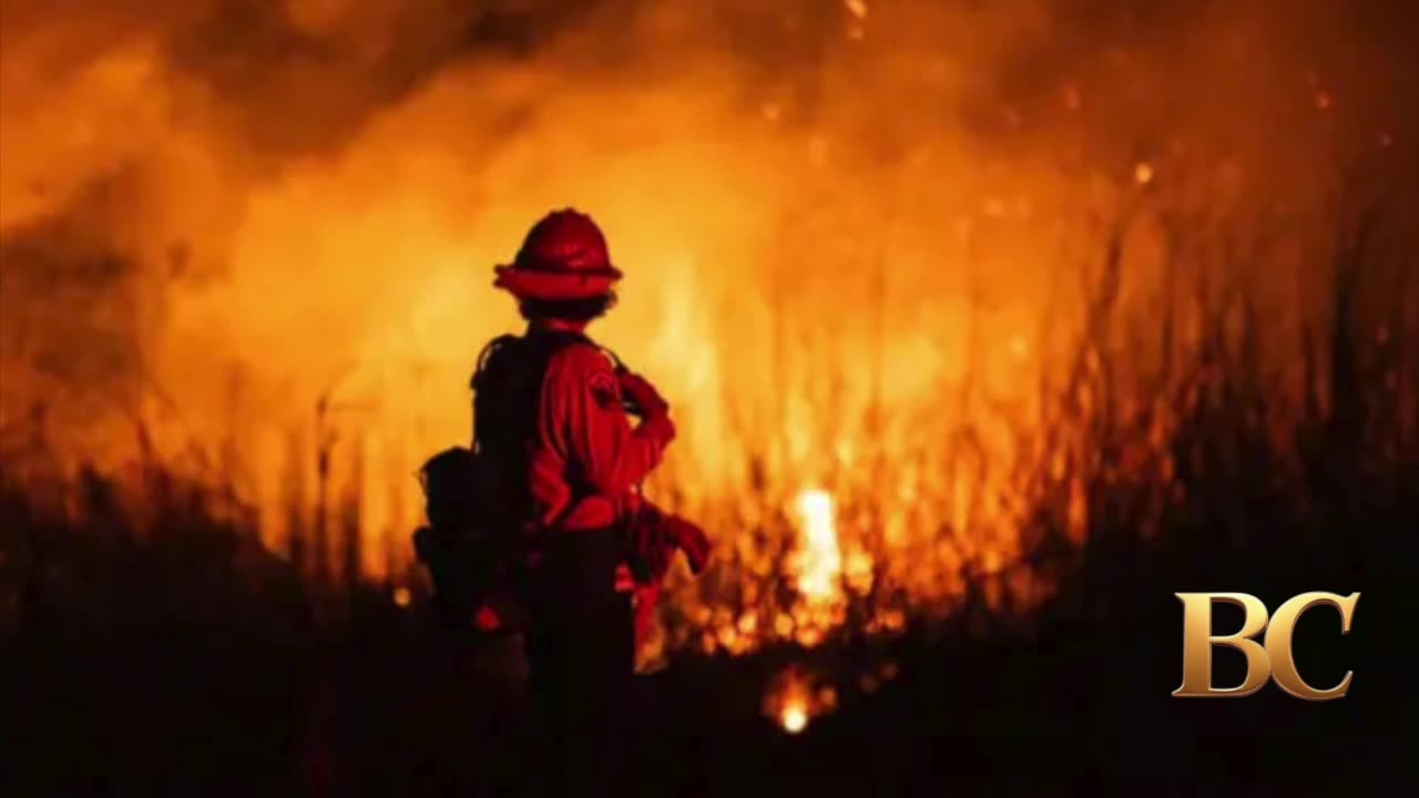 Los Angeles County DA says nine charged with looting homes in wildfire zones, one with arson