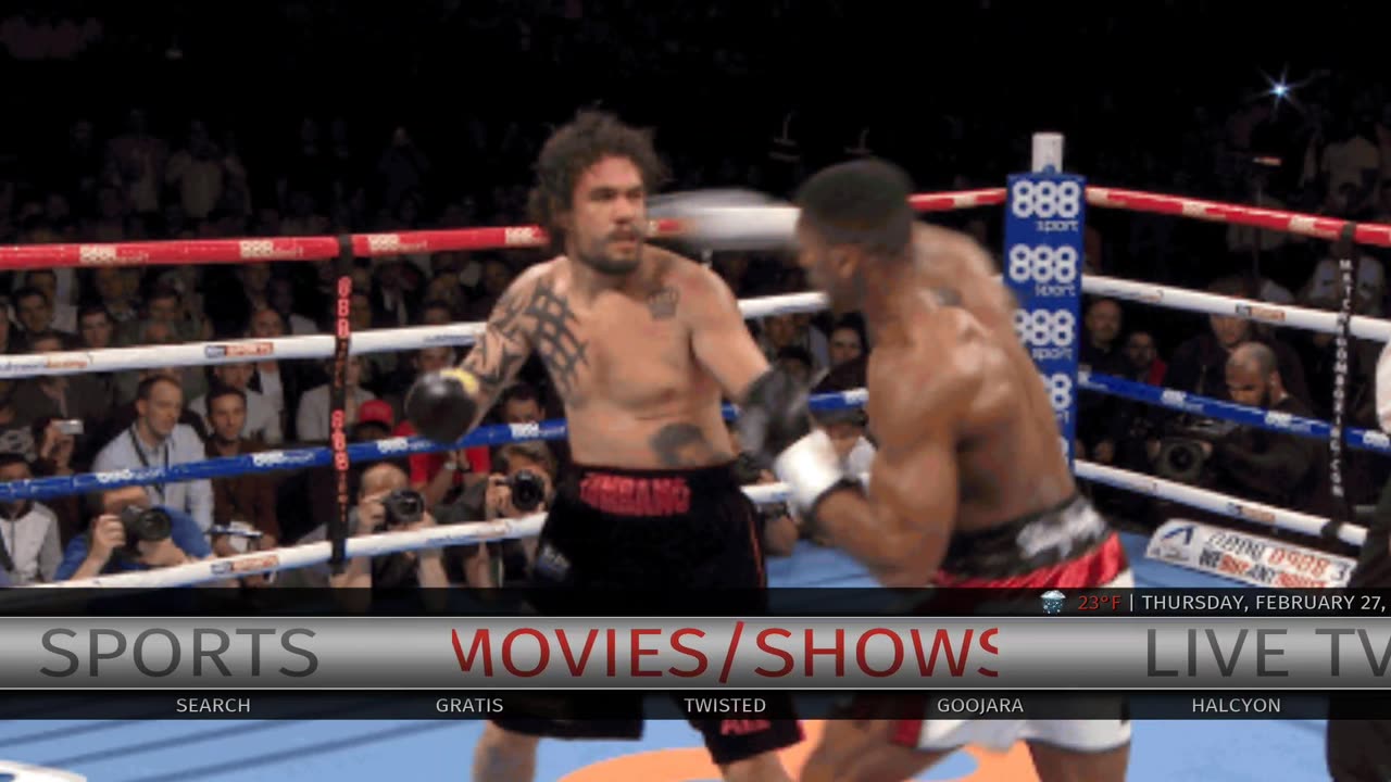 Darealist Fight Night