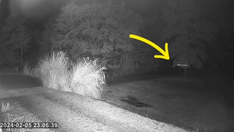 👁️🚨 Unbelievable UAP Sighting in the Backyard! | TheTruthAbove