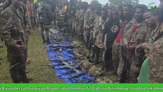 Gabaasa Tarkaanfii ONM-ABO Sadaasa 12-2025 itti dhiyaadhaa!