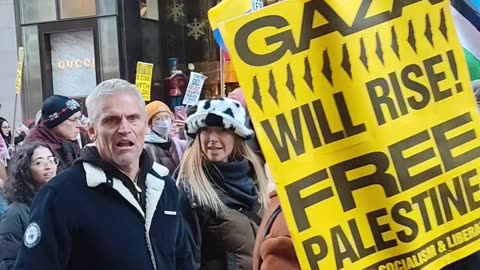 The International Day of Solidarity with the Palestinian People in front of the Trump Tower.