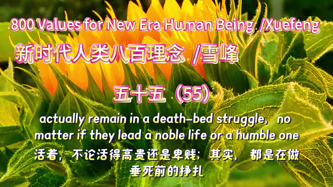 800 Values for New Era Human Being(55)