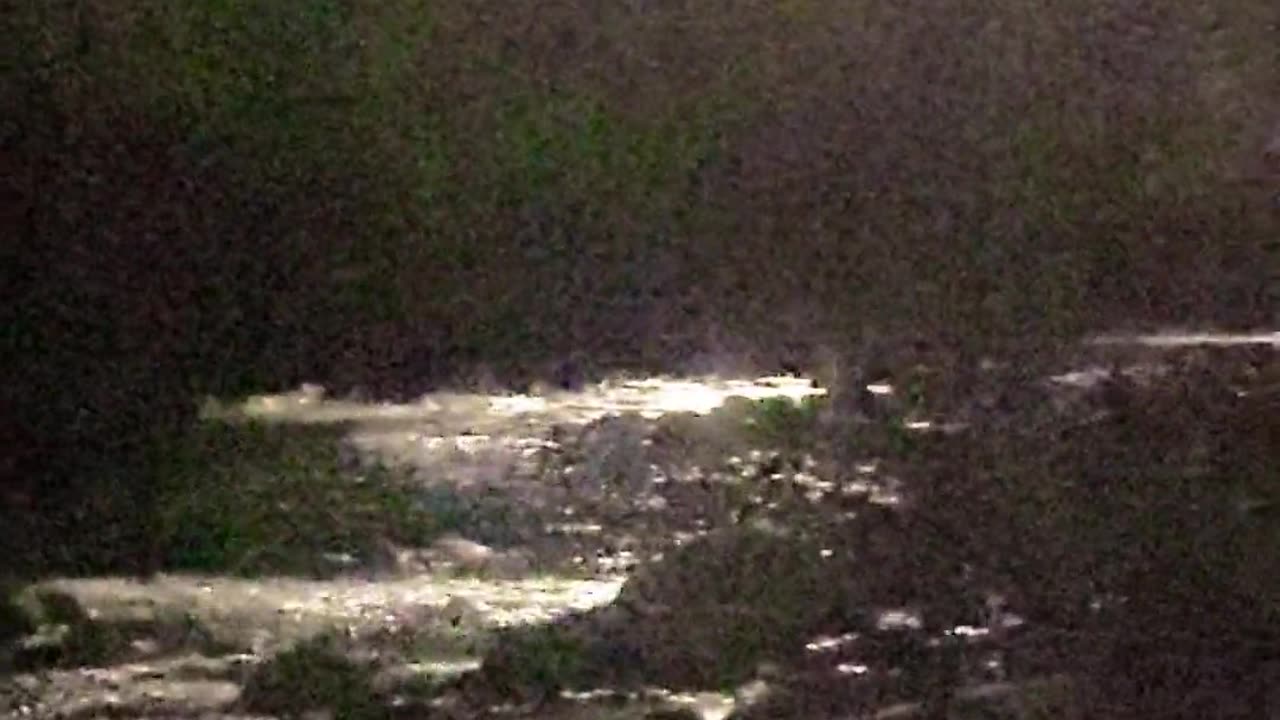 👻😱 Creature Speaks in Unknown Tongue! | TheHauntingHour