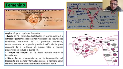 ADC SEMIANUAL 2023 | Semana 15 | Biología S2