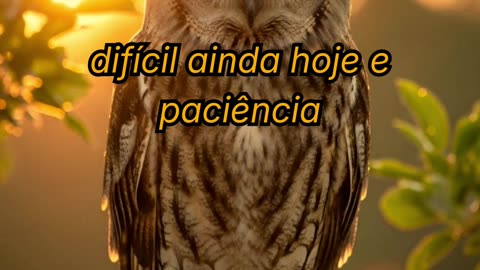 Oração para esta Terça-feira, 13 de Janeiro de 2026!