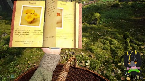 Mushroom Picking Simulator Demo