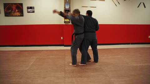 Entangled Wing - Execution