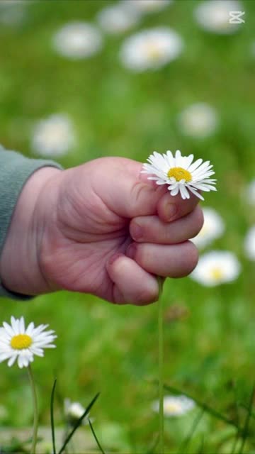 Prayer to God and St. Fursey 16/01 🙏🍀