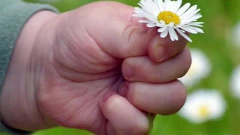 Prayer to God and St. Fursey 16/01 🙏🍀