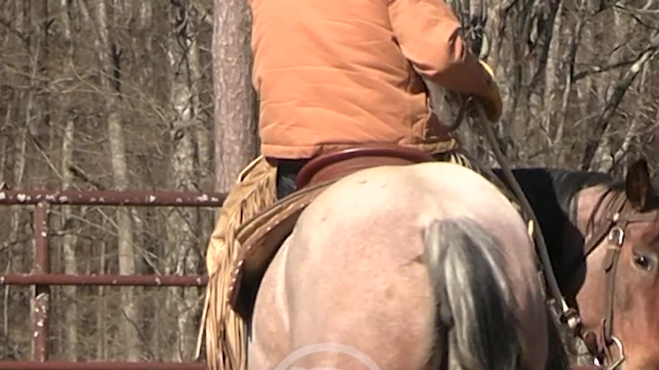 Don't distract your horse with your outside leg.