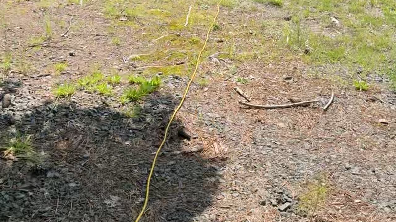 Not Your Ideal Neighbor Stealing Power Across Roadway
