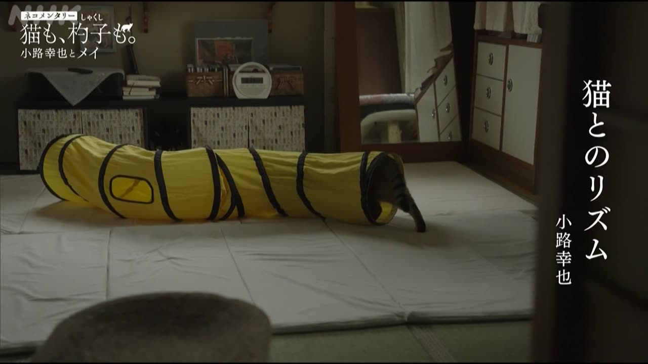 ネコメンタリー 猫も、杓子も。 小路幸也とメイ