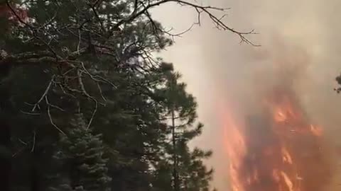 Horton inferno rages across 1,074 acres