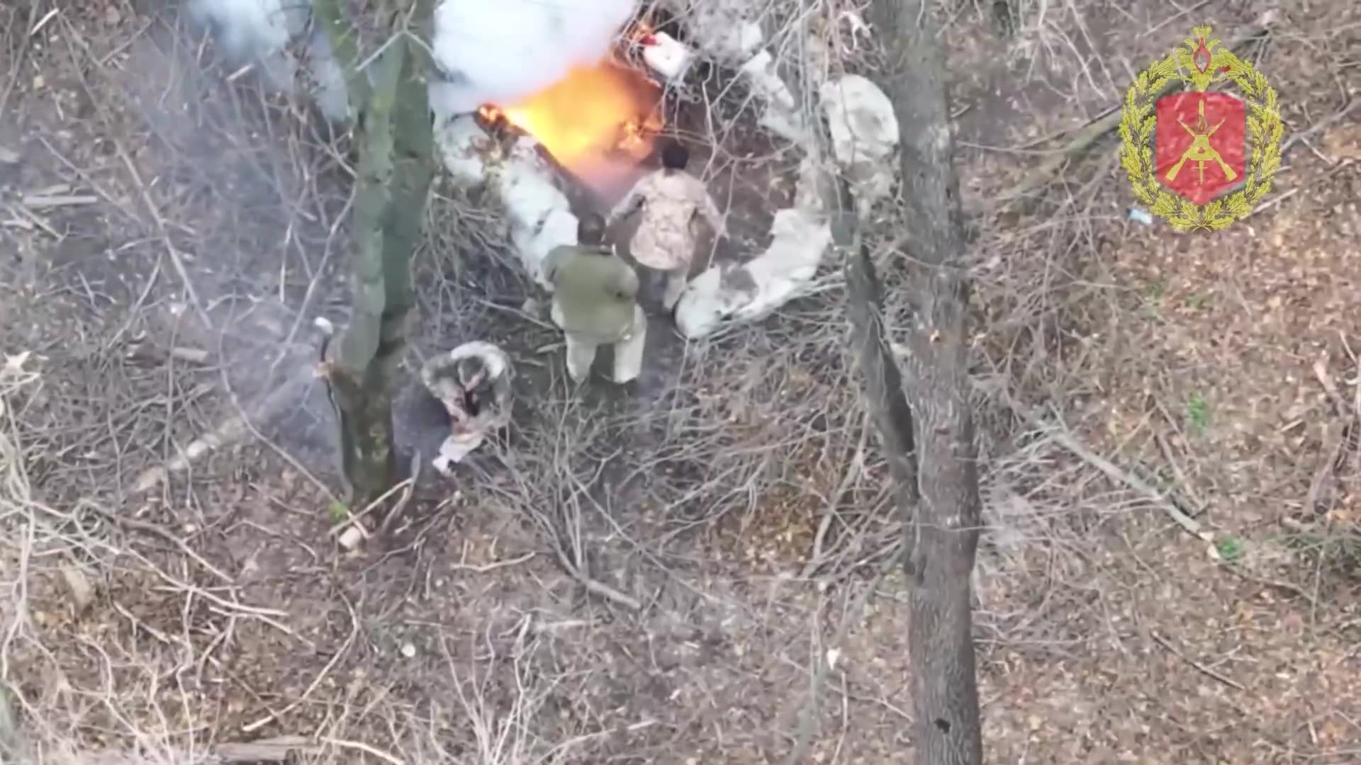 Evicting boars from their burrow