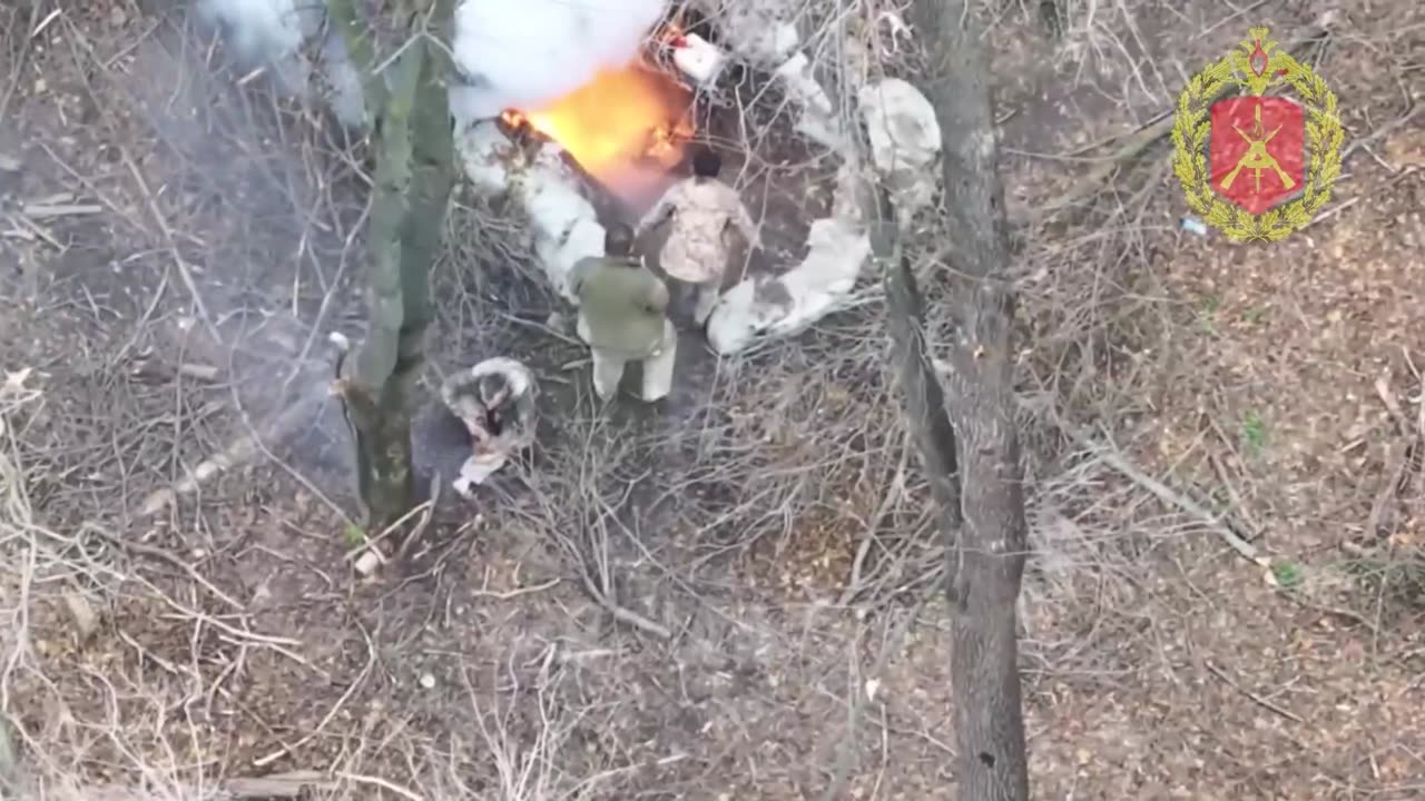 Evicting boars from their burrow
