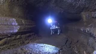 China trains robotic dogs for lunar missions, conducting tests in caves that mimics lunar