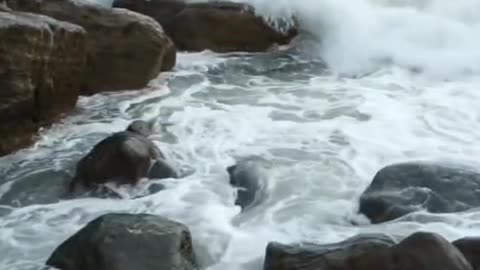 🌊 Don’t Fear the Storm | Your Destination Awaits Across the Sea #shorts