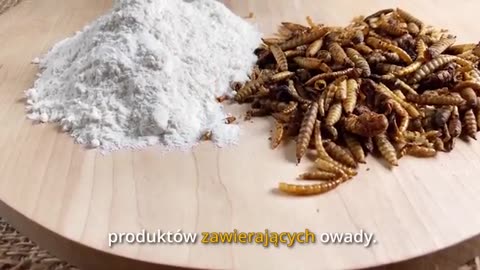 ALDI,LIDL,BIEDRONKA,DINO - OWADY W ŻYWNOŚCI.KODY.