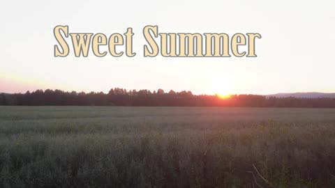 Sweet Summer