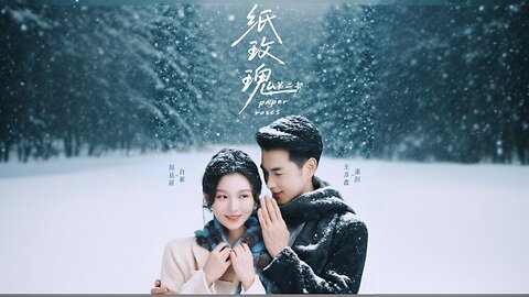 Paper Roses 2 | Zhi Meigui 2 | 纸玫瑰2