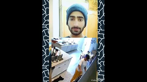 dog funny Comedy videos