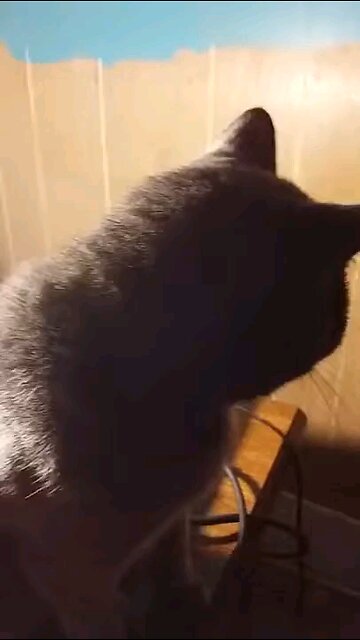 get off the cable box goofball