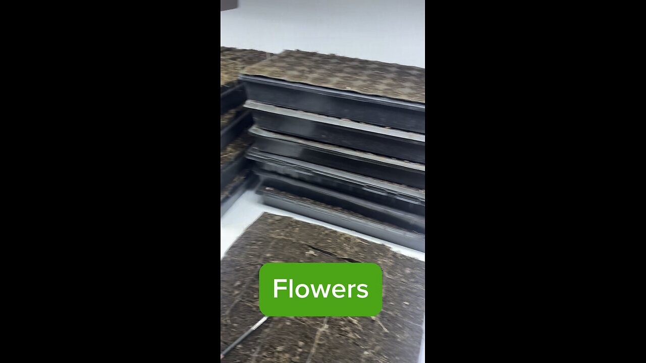 It’s time to seed!!! Start your slow-to-start plants indoors if you want to get a jump on the year