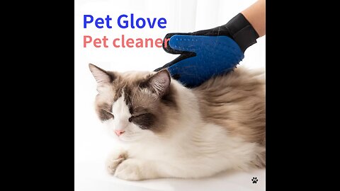 Pet Glove