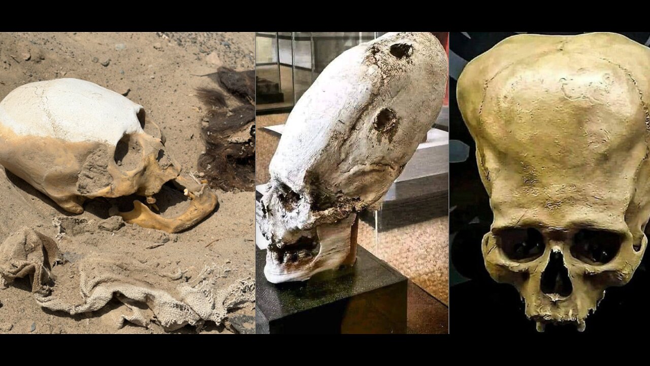 THEY WERE HUMANOID BUT NOT LIKE US! CAN YOU HANDLE THE TRUTH?