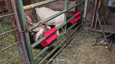 Graham Family Farm: 5:00 PM February 22 2025
