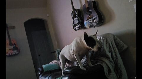 Lucy, Don't Jump!