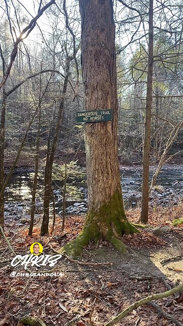 WHEN YOU’VE MADE UP YOUR MIND!