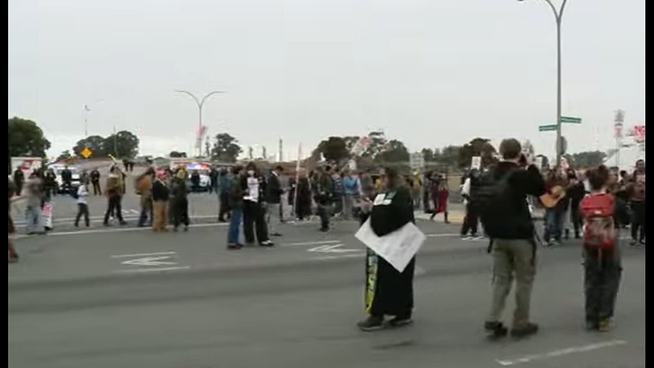 Live Protests