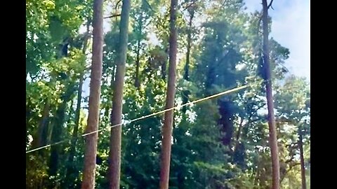 Cutting down more trees on our property