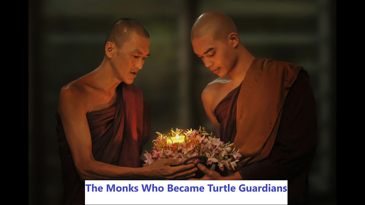 The Monks Who Became Turtle Guardians: A Tale of Hope and Conservation