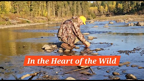 In the Heart of the Wild (Country Song)