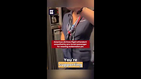 Zionist Jew cries about American Airlines employee watermelon pin