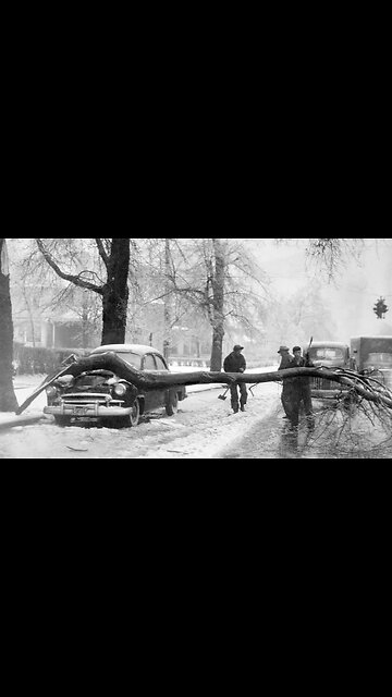 Blizzard damage from Franklin, Tennessee It looks like a war zone all over Nashville Watch the trees