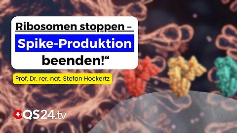 🩺👉QS24💉! | Blackbox im Blut: Wie wir Spike-Proteine regulieren können...Prof. Dr. Hockertz